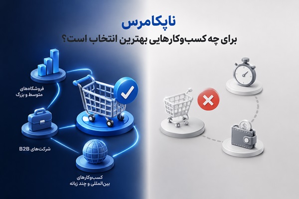ناپکامرس برای چه کسب‌وکارهایی بهترین انتخاب است؟